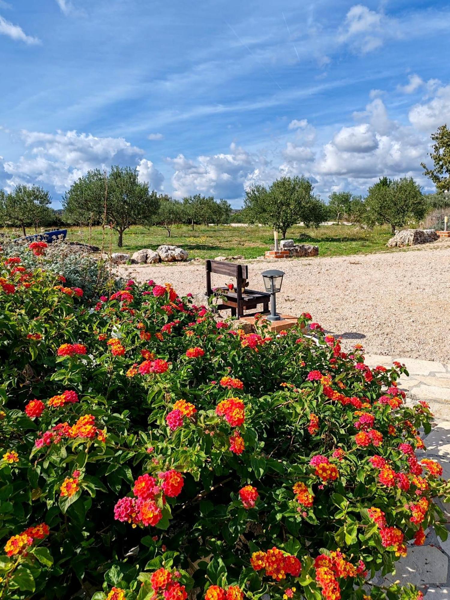 Holiday Home - Villa Juli Šibenik Exteriér fotografie